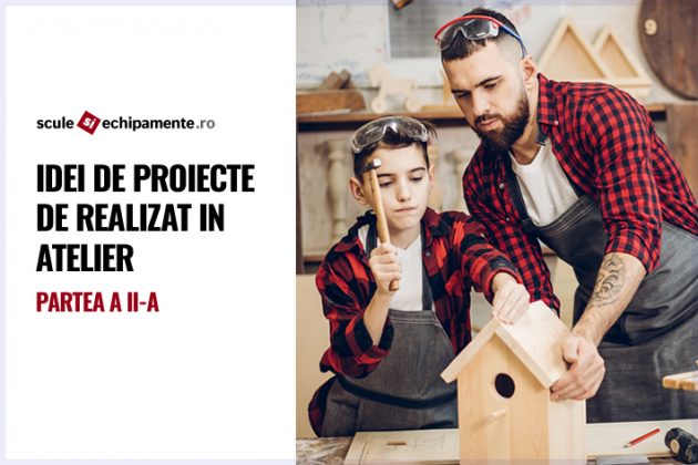 idei de proiecte de realizat in atelier